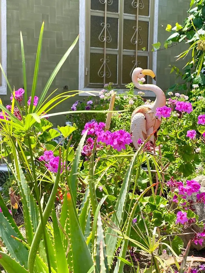 Villa Rocco Rooms Santa Teresa Gallura Bed & Breakfast