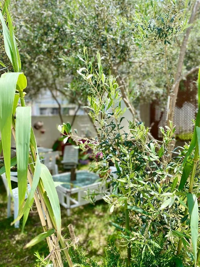 Villa Rocco Rooms Santa Teresa Gallura Bed & Breakfast